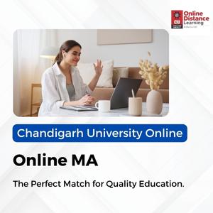 Chandigarh University (3)