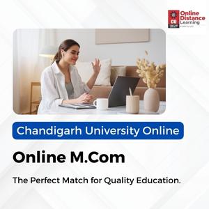 Chandigarh University (5)